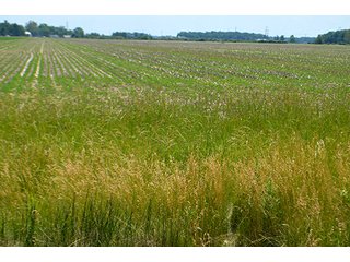 Property photo 73 - LAND AUCTION - 700+/- ACRES OFFERED IN 16 TRACTS IN ALLEN COUNTY, INDIANA